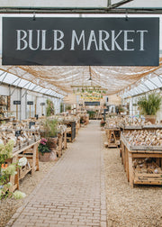 Exploring Our Bulb Market