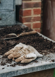 The Magic of Composting