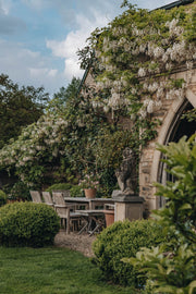 How to: Prune a wisteria