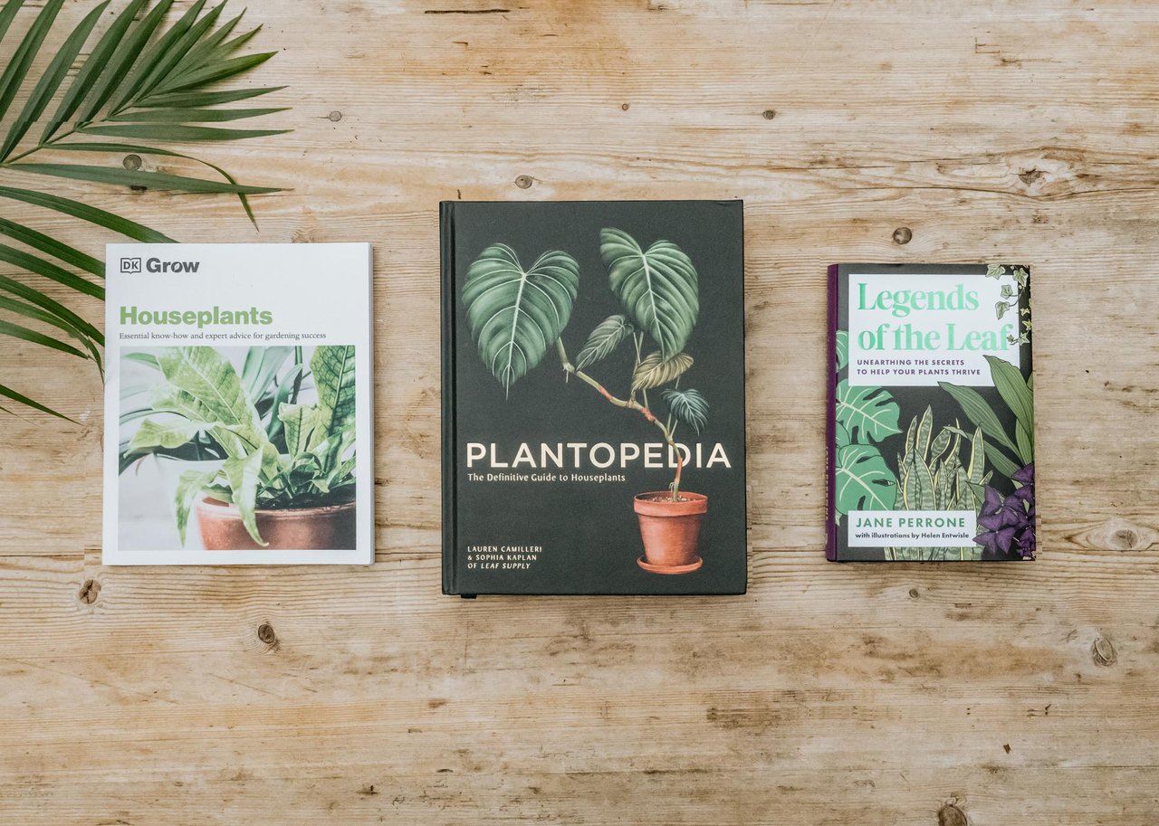 Houseplant Care Books: Three Reading Room Finds