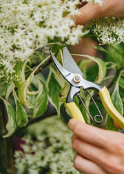 The sharpest in the shed: our top seven secateurs