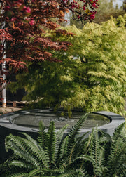Choosing your Water Feature