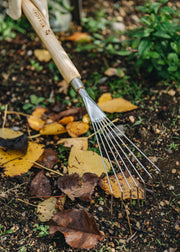 Treasure Tree All Gardening