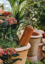 Fallen Fruits Large Plant Watering Spike