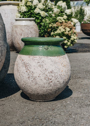 Terres D'Albine Terres D'Albine Drop Jar with Green Neck, 60cm