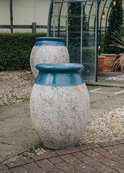 Terres D'Albine Olive Pot with Blue Neck, 70cm