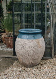 Terres D'Albine Terres D'Albine Olive Pot with Blue Neck, 90cm