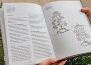 Burford Garden Co. A Year Full of Veg