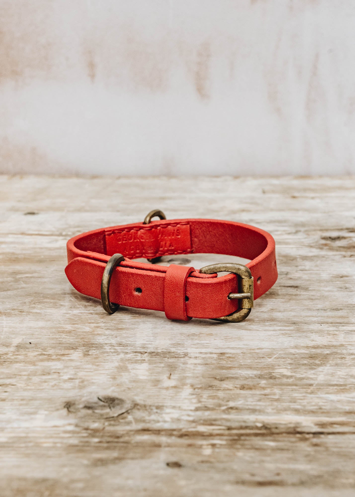 Georgie Paws Bald Leather Dog Collar in Red