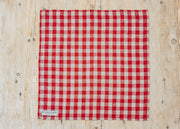 Burford Garden Co. Red Gingham Linen Napkins, pack of two
