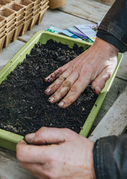 Gluttonous Gardener Sage Green Bamboo Seed Tray