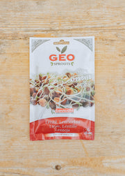 Bavicchi Geo Organic Sprouting Lentil Seeds, 90g