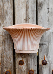 Bergs Potter Rosa Daisy Wall Hanging Planter