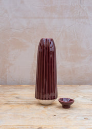 Bergs Potter Glazed Cove Water Cacti in Deep Burgundy, 450ml