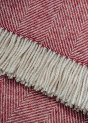 Bronte Moon Herringbone Throw in Raspberry Ripple