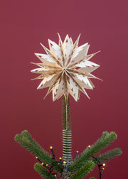 Treasure Tree Glacia Top Star in Off White