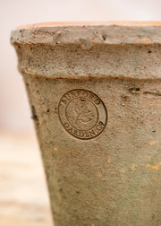 Burford Garden Co. Terracotta Pot, 15x17cm