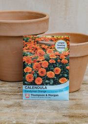 Thompson & Morgan Calendula Candyman Orange Seeds