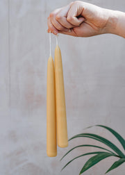 Moorlands Beeswax Candles Standard Beeswax Candle Pairs, pack of three