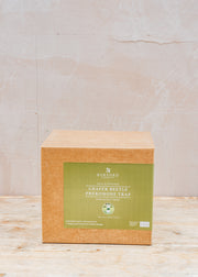 Gardening Naturally Chafer Beetle Trap