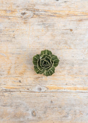 Trovelore Fir Green Butterfly Ranunculus Wall Decoration