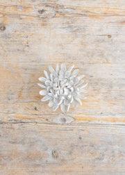 Trovelore Ivory Chrysanthemum Wall Decoration