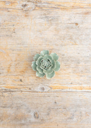 Trovelore Pistachio Green Rose Wall Decoration