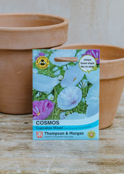 Thompson & Morgan Cosmos Cupcakes Mixed Seeds