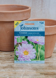 Johnsons Cosmos Double Dutch Rose Seeds