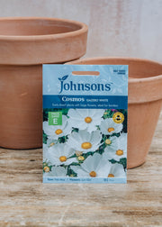Gluttonous Gardener Cosmos Gazebo White Seeds