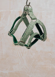 Stocky & Dee Dog Harness in Green and Dove