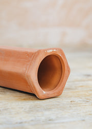 Fallen Fruits Small Plant Watering Spike