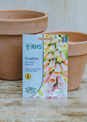 Mr Fothergills Foxglove Sutton's Apricot Seeds