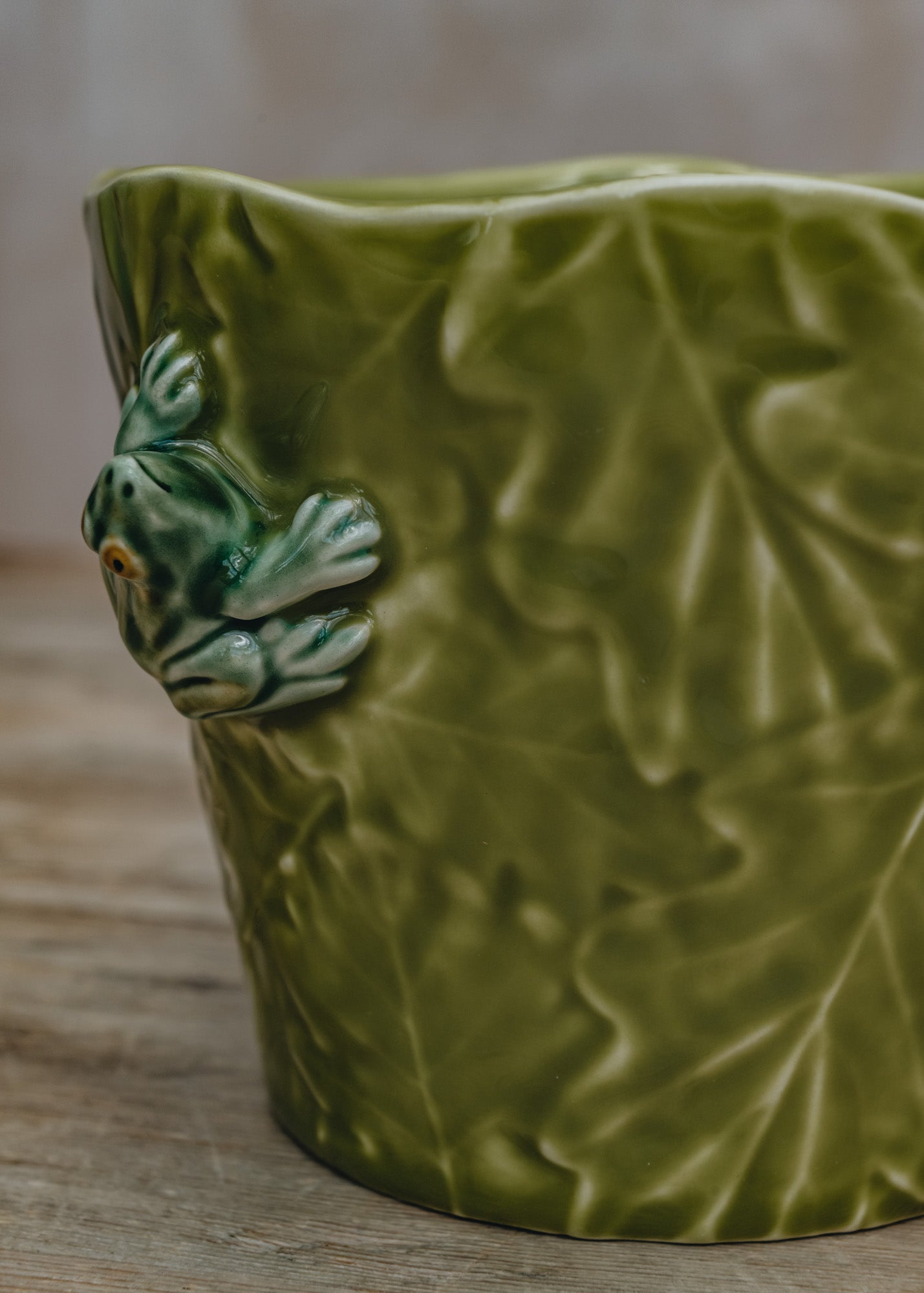 Bordhallo Pinheiro Frog Vase/Pot Cover