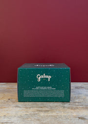 Galup Paradiso Panettone with Pistachio Cream