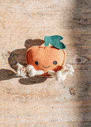 Green & Wild's Sancho the Satsuma Dog Toy