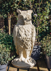 Haddonstone Eagle Owl