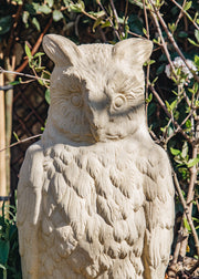 Haddonstone Eagle Owl