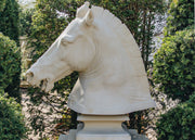 Haddonstone Equine Head