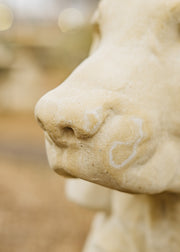 Haddonstone Left Hand Jacquemart Hunting Dog