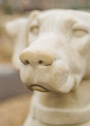 Haddonstone Right Hand Jacquemart Hunting Dog