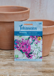 Johnsons Honesty Purple and White Seeds