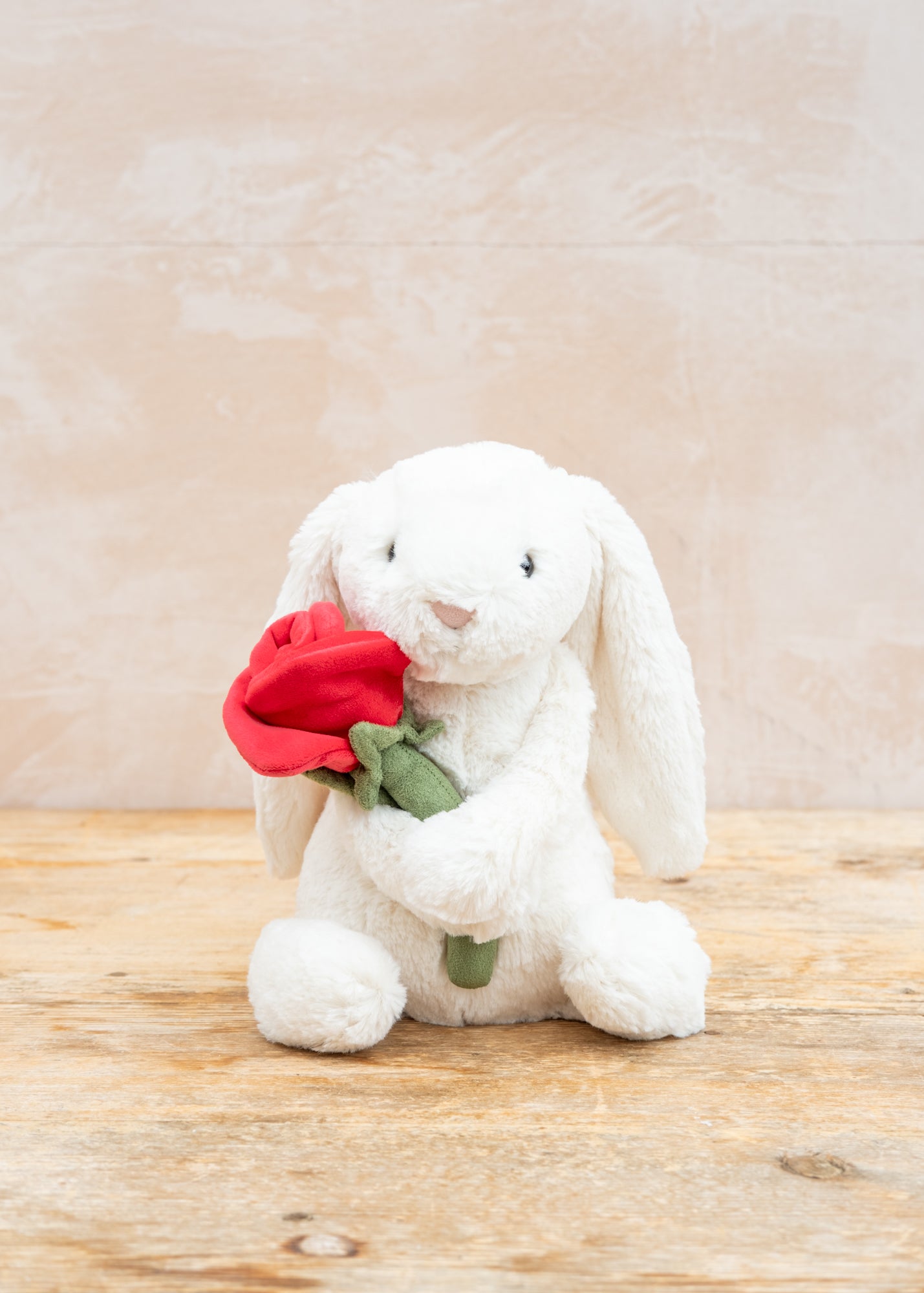 Rose Bashful Bunny – Burford Garden Co.