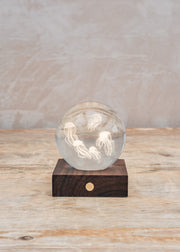 Geodesis Jellyfish Crystal Light