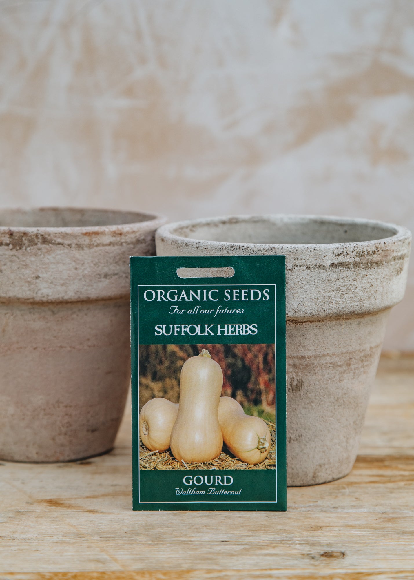 plant butternut seeds Suffolk Herbs Gourd 'Waltham Butternut' Seeds – Burford Garden Co