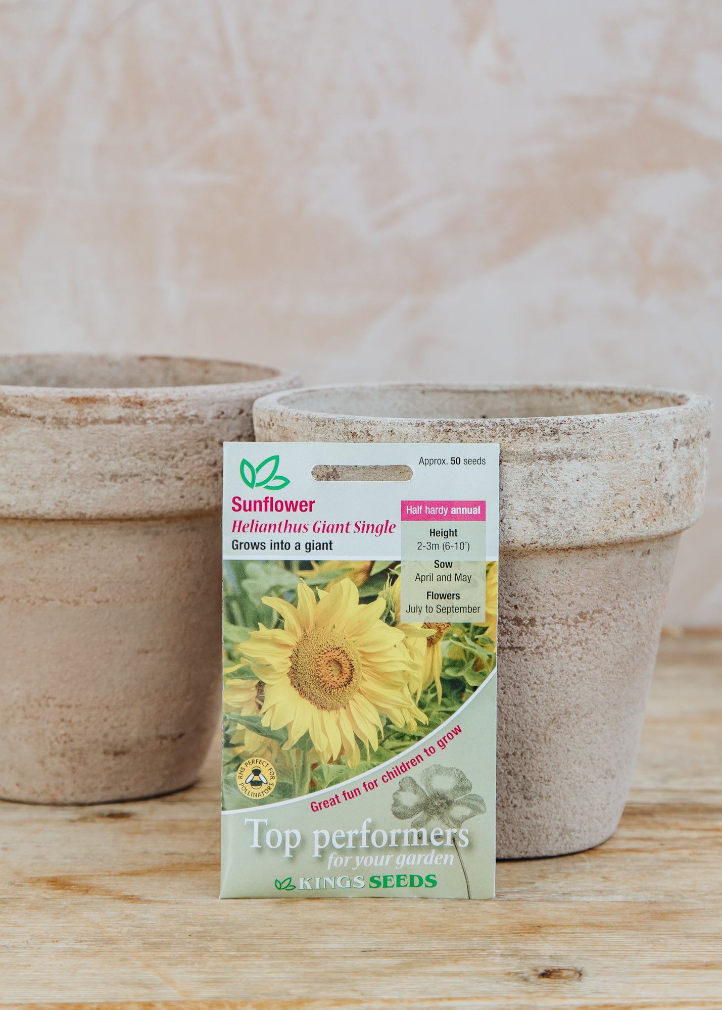 bulk sunflower seeds for planting uk Kings Seeds Sunflower 'Giant Single' Seeds – Burford Garden Co