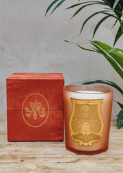 Trudon Trudon Large Classic Candle in Tuileries