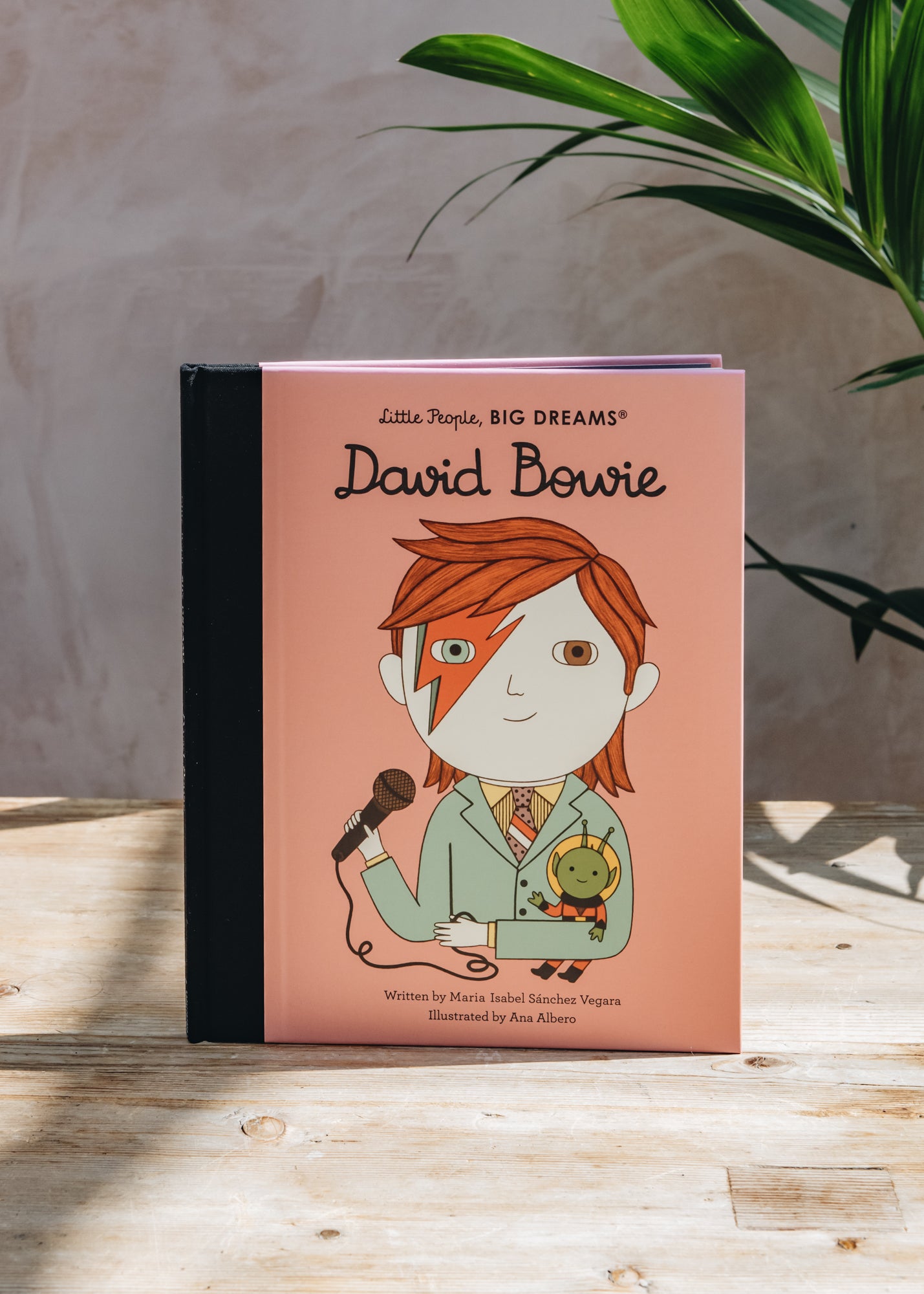 Little People, Big Dreams: David Bowie – Burford Garden Co.