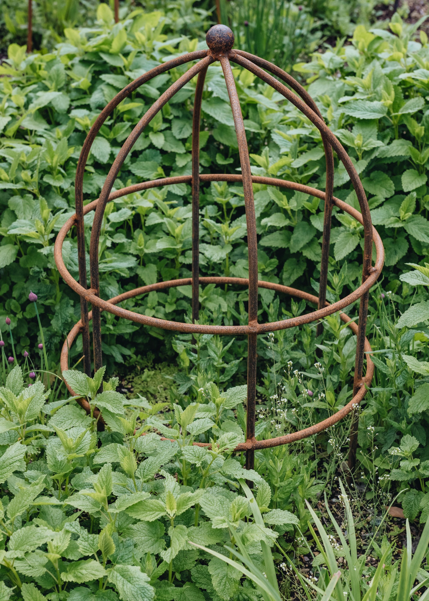 lobster pot plant support Lobster Pot Support
