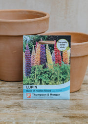 Thompson & Morgan Lupin Band of Nobles Mixed Seeds
